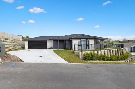 Photo of property in 123 Reservoir Street, Putaruru, 3411