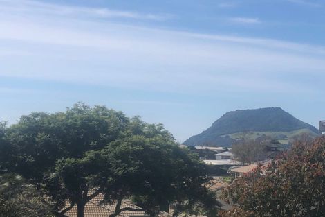 Photo of property in 51 Freyberg Street, Otumoetai, Tauranga, 3110