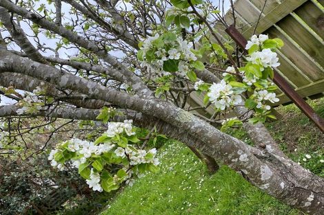 Photo of property in 42-44 Cheshire Street, Cannons Creek, Porirua, 5024