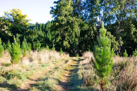 Photo of property in 751 Ongo Road, Hunterville, 4782