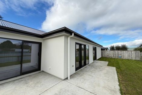 Photo of property in 19a Wellington Street, Feilding, 4702