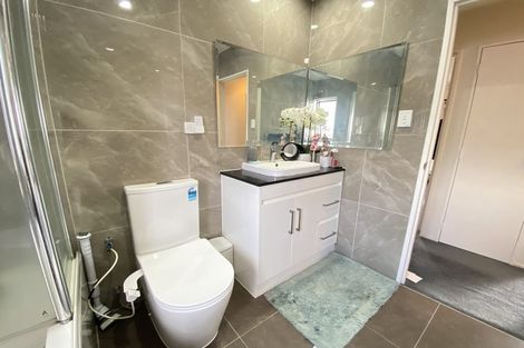 Photo of property in 267a Mount Albert Road, Wesley, Auckland, 1041