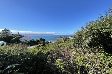 Photo of property in 19 Oku Street, Island Bay, Wellington, 6023