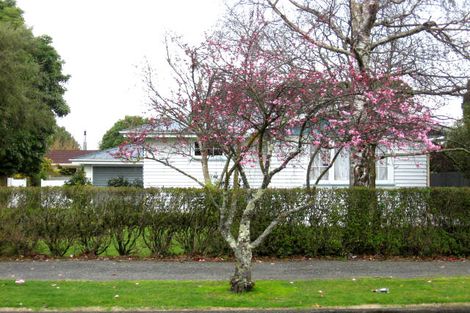 Photo of property in 117 South Belt, Solway, Masterton, 5810