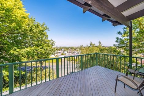 Photo of property in 19 Newcastle Road, Dinsdale, Hamilton, 3204