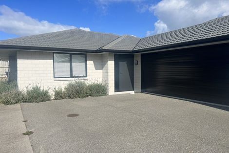 Photo of property in 79 Tabraham Crescent, Pyes Pa, Tauranga, 3112