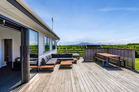 Photo of property in 43 Quinns Road, Normanby, Hawera, 4673