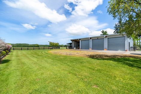 Photo of property in 41 Andrew Street, Kuripuni, Masterton, 5810