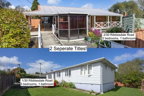 Photo of property in 2/30 Ribblesdale Road, Henderson, Auckland, 0612