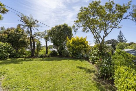 Photo of property in 23 Gaine Street, New Plymouth, 4310