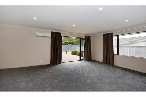 Photo of property in 430 Brook Street, The Brook, Nelson, 7010