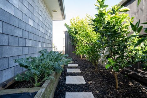 Photo of property in 9 Hehan Close, Cambridge, 3434