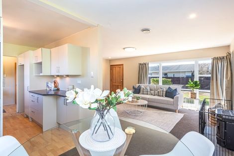 Photo of property in 58 Bordesley Street, Phillipstown, Christchurch, 8011