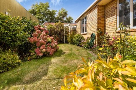 Photo of property in 33b Litchfield Street, Redwoodtown, Blenheim, 7201