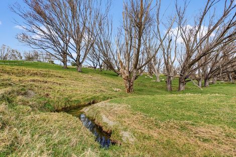 Photo of property in 65 Jumna Road, Maungaturoto, 0587