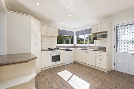 Photo of property in 80a Manson Street, Terrace End, Palmerston North, 4410