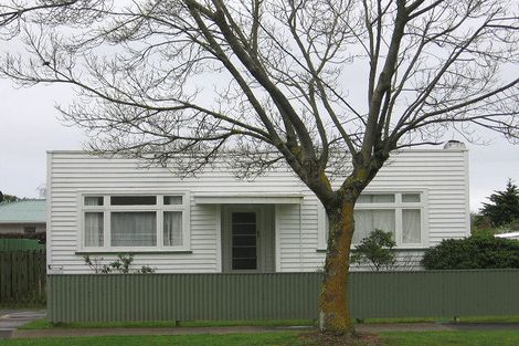 Photo of property in 32 Mckenzie Street, Levin, 5510