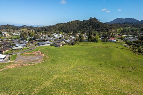 Photo of property in 1 Albert Street, Coromandel, 3506