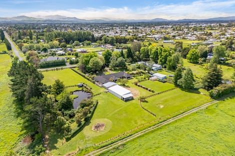 Photo of property in 41 Andrew Street, Kuripuni, Masterton, 5810