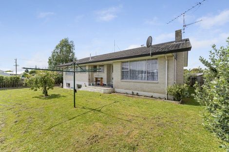 Photo of property in 45b Kirk Street, Otaki, 5512