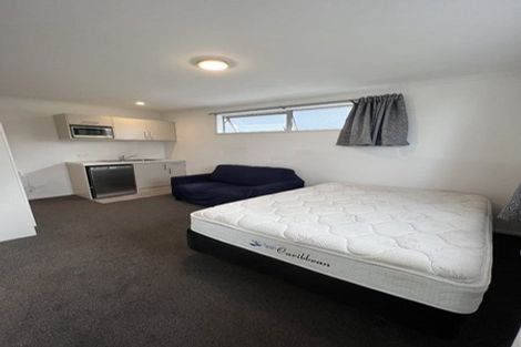 Photo of property in 1/9 Greensboro Street, Hamilton East, Hamilton, 3216