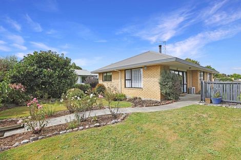 Photo of property in 91 Michael Street, Rakaia, 7710