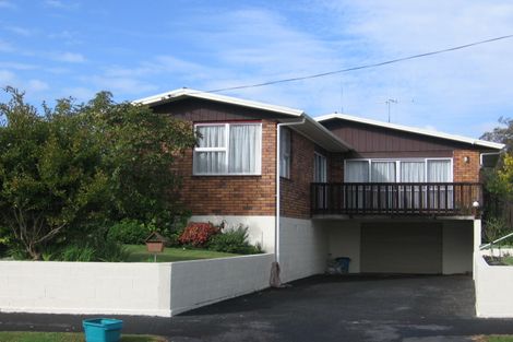 Photo of property in 12 Patrick Place, Fitzroy, Hamilton, 3206