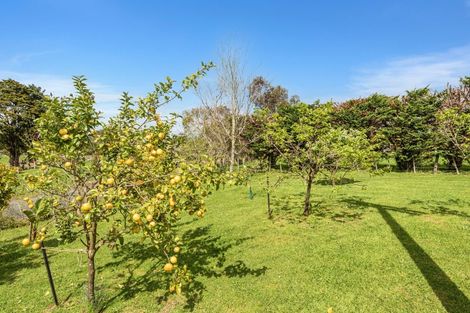 Photo of property in 65 Main Road, Kauri, Kamo, 0185