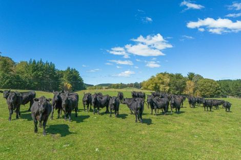 Photo of property in 300 Pattison Road, Akina, Hastings, 4122