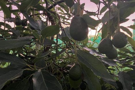 Photo of property in 1030a Thornton Road, Matata, Whakatane, 3194