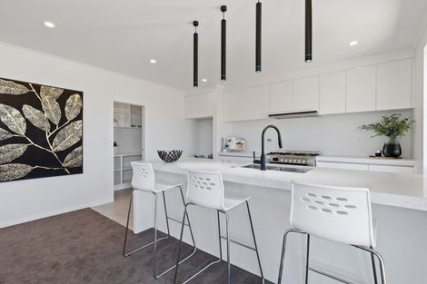 Photo of property in 15 Sydney Place, Flagstaff, Hamilton, 3210