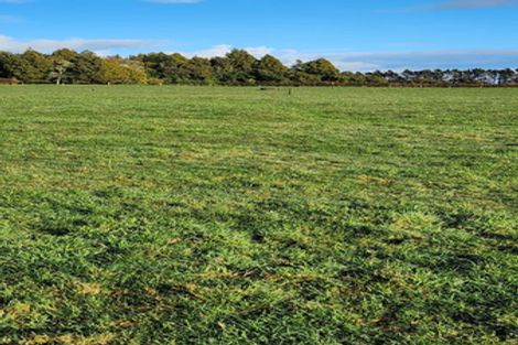 Photo of property in 5 Robson Court, Gate Pa, 3112