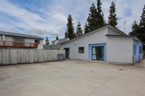 Photo of property in 55 York Street, Hamilton East, Hamilton, 3216