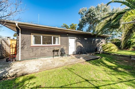 Photo of property in 100 Puriri Street, Gonville, Wanganui, 4501