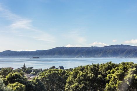 Photo of property in 74 Falkirk Avenue, Seatoun, Wellington, 6022