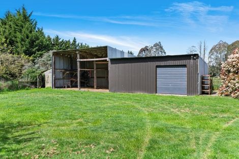 Photo of property in 168 Langdales Road, West Melton, Christchurch, 7676