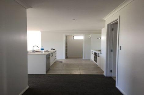 Photo of property in 217 Borman Road, Rototuna North, Hamilton, 3210