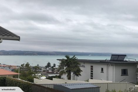 Photo of property in 1/4 George Street, Hospital Hill, Napier, 4110