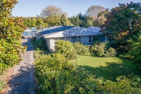 Photo of property in 59 Main North Road, Geraldine, 7930