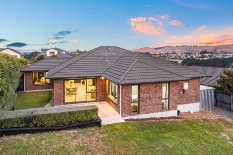 Photo of property in 123 Te Puia Drive, Aotea, Porirua, 5024