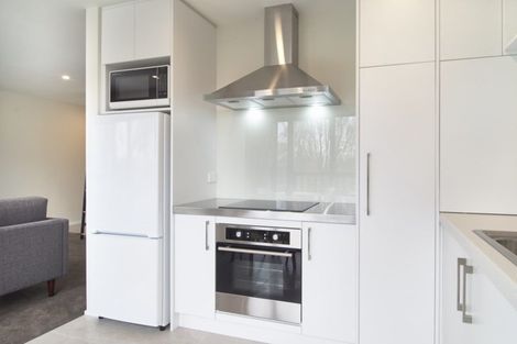 Photo of property in Riverena Flats, 377 Barbadoes Street, Christchurch Central, Christchurch, 8011