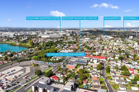 Photo of property in 107 Mount Wellington Highway, Mount Wellington, Auckland, 1060
