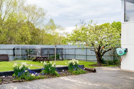 Photo of property in 20 Waldron Crescent, Green Island, Dunedin, 9018