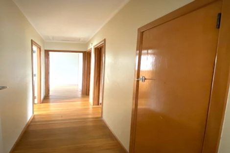 Photo of property in 14 Alan Avenue, Henderson, Auckland, 0610