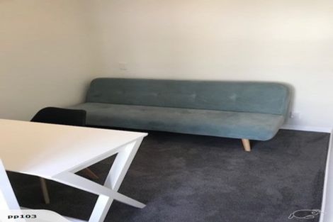 Photo of property in 116 Austin Street, Mount Victoria, Wellington, 6011