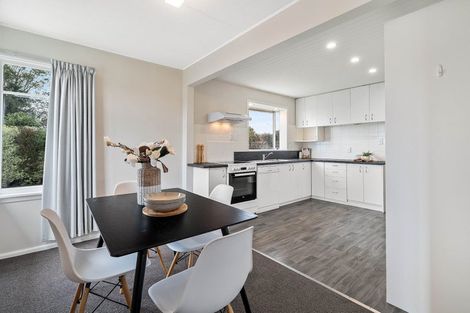 Photo of property in 133 Buchanans Road, Hei Hei, Christchurch, 8042