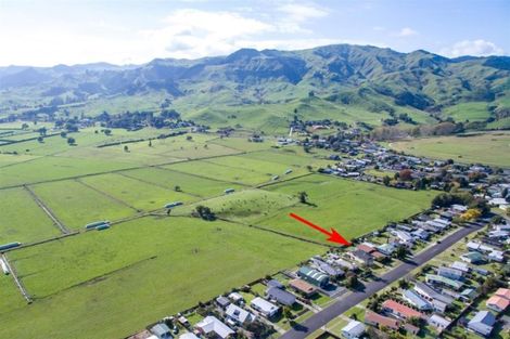 Photo of property in 21 Waimarei Avenue, Paeroa, 3600