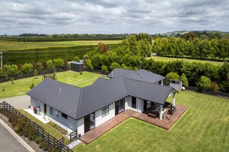 Photo of property in 250 Meeanee Road, Meeanee, Napier, 4112