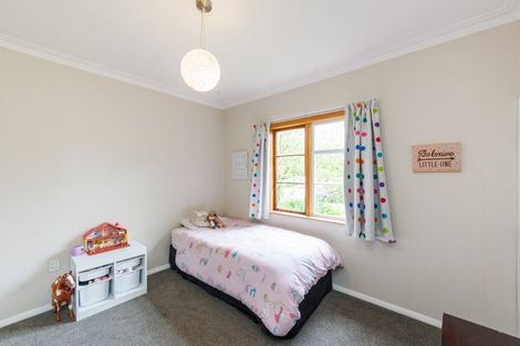 Photo of property in 68 Pahiatua Street, Hokowhitu, Palmerston North, 4410