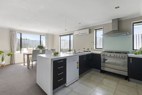 Photo of property in 20b Charlie Stanton Place, Shirley, Christchurch, 8052